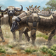 Illustration for article titled Robots shaped like African animals join the fight against poachers